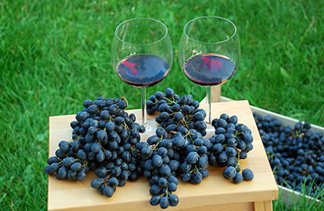 Як можливу заборону на імпортний виноматеріал відіб'ється на цінах на вино російського виробництва