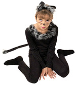 Оскільки за деякими версіями наступаючий 2011 рік - це року Кота, то і на дитячому ранку, і на вечірці-маскараді доречно буде виглядати новорічний костюм кота