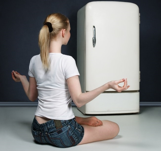 Рефрижератор важко віднести до розряду «тихої» техніки, тому чутливим до сторонніх звуків користувачам важливо розуміти, як вибрати максимально безшумний холодильник